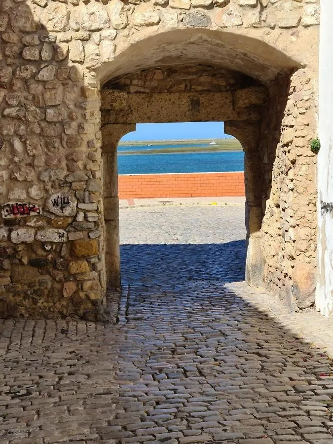 Apartment Teacher'S Refuge-Downtown Studio Portugal